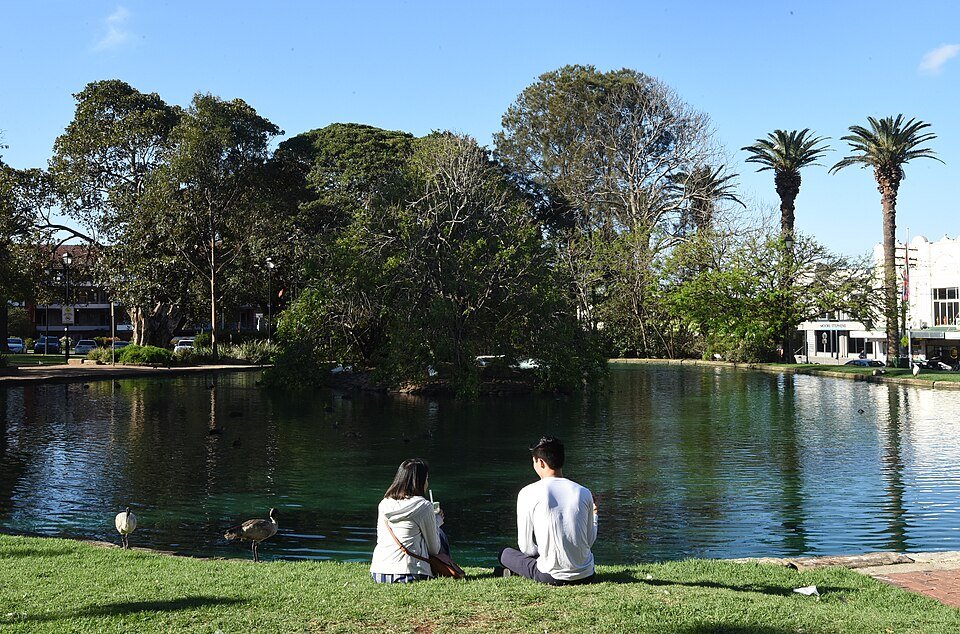 The pond in Burwood Park