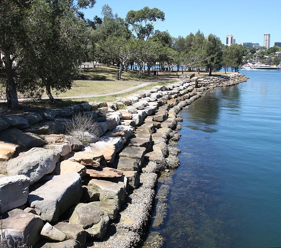 The waterfront edge of Mort Bay Park